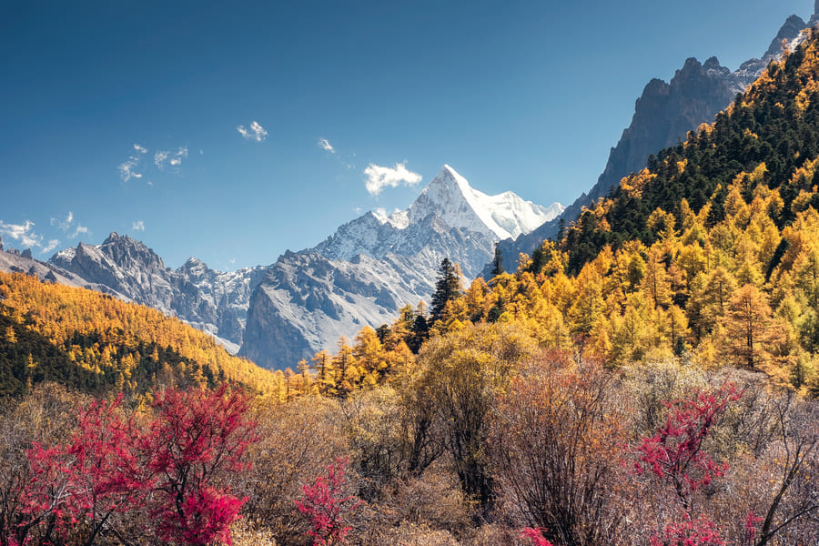 Paisaje entre montañas, árboles en otoño de Shangrila.